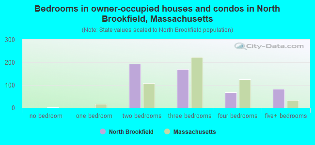 Bedrooms in owner-occupied houses and condos in North Brookfield, Massachusetts