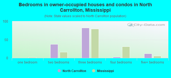 Bedrooms in owner-occupied houses and condos in North Carrollton, Mississippi