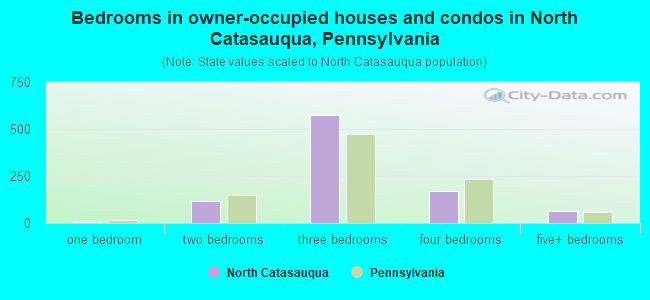 Bedrooms in owner-occupied houses and condos in North Catasauqua, Pennsylvania