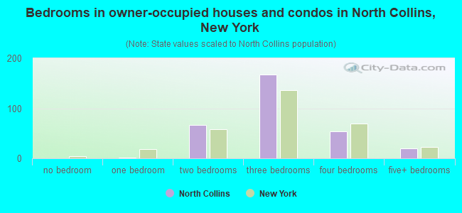 Bedrooms in owner-occupied houses and condos in North Collins, New York