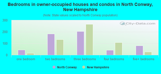 Bedrooms in owner-occupied houses and condos in North Conway, New Hampshire