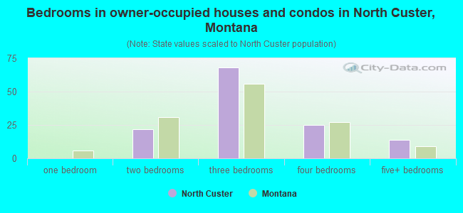 Bedrooms in owner-occupied houses and condos in North Custer, Montana