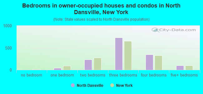 Bedrooms in owner-occupied houses and condos in North Dansville, New York