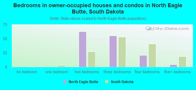 Bedrooms in owner-occupied houses and condos in North Eagle Butte, South Dakota