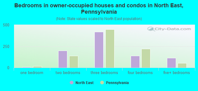 Bedrooms in owner-occupied houses and condos in North East, Pennsylvania