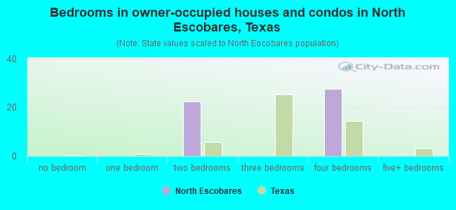 Bedrooms in owner-occupied houses and condos in North Escobares, Texas