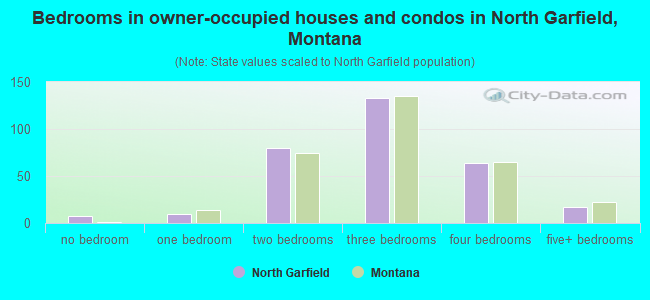 Bedrooms in owner-occupied houses and condos in North Garfield, Montana