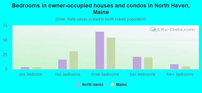 Bedrooms in owner-occupied houses and condos in North Haven, Maine
