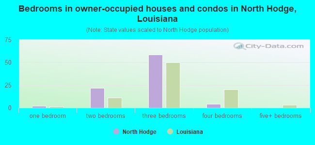 Bedrooms in owner-occupied houses and condos in North Hodge, Louisiana