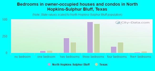 Bedrooms in owner-occupied houses and condos in North Hopkins-Sulphur Bluff, Texas