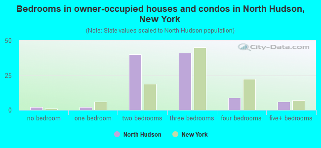 Bedrooms in owner-occupied houses and condos in North Hudson, New York