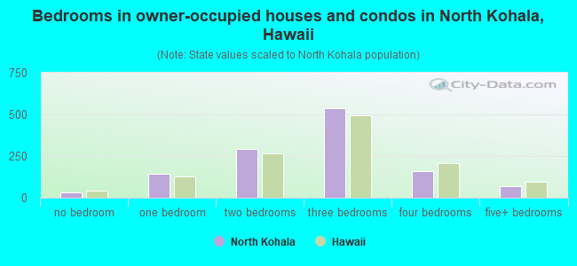 Bedrooms in owner-occupied houses and condos in North Kohala, Hawaii