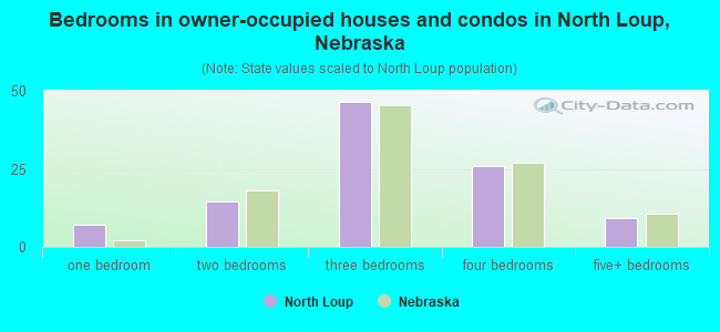 Bedrooms in owner-occupied houses and condos in North Loup, Nebraska