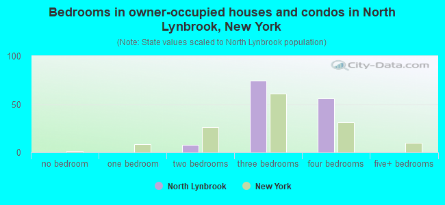Bedrooms in owner-occupied houses and condos in North Lynbrook, New York