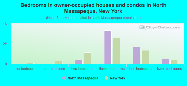 Bedrooms in owner-occupied houses and condos in North Massapequa, New York