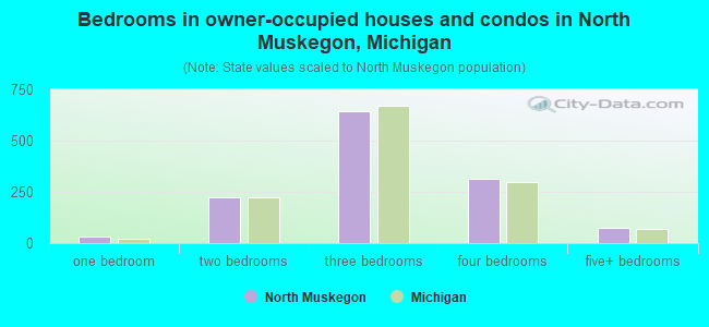 Bedrooms in owner-occupied houses and condos in North Muskegon, Michigan