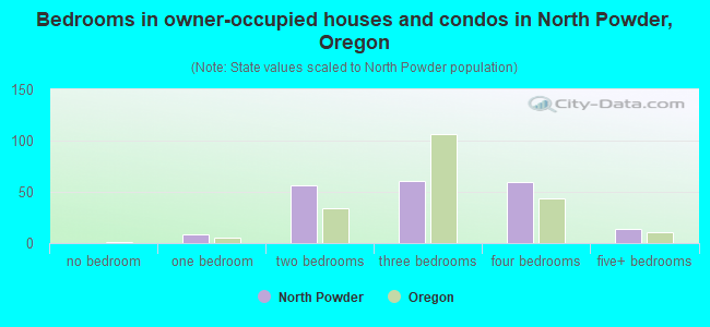 Bedrooms in owner-occupied houses and condos in North Powder, Oregon
