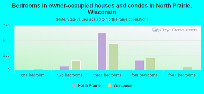 Bedrooms in owner-occupied houses and condos in North Prairie, Wisconsin