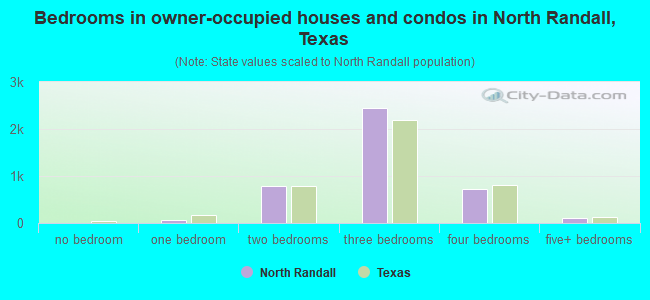 Bedrooms in owner-occupied houses and condos in North Randall, Texas