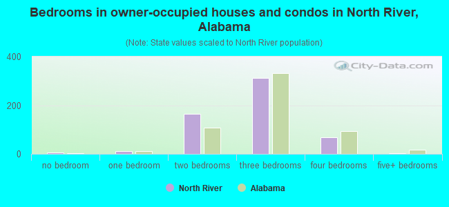 Bedrooms in owner-occupied houses and condos in North River, Alabama