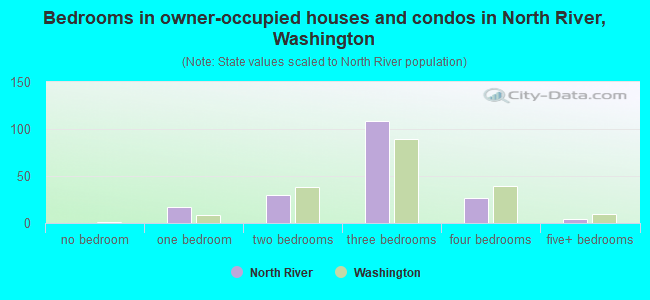Bedrooms in owner-occupied houses and condos in North River, Washington