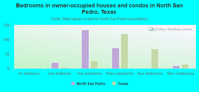 Bedrooms in owner-occupied houses and condos in North San Pedro, Texas