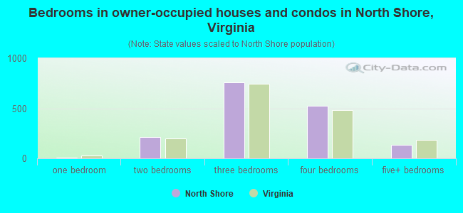 Bedrooms in owner-occupied houses and condos in North Shore, Virginia