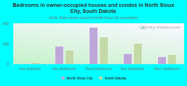 Bedrooms in owner-occupied houses and condos in North Sioux City, South Dakota
