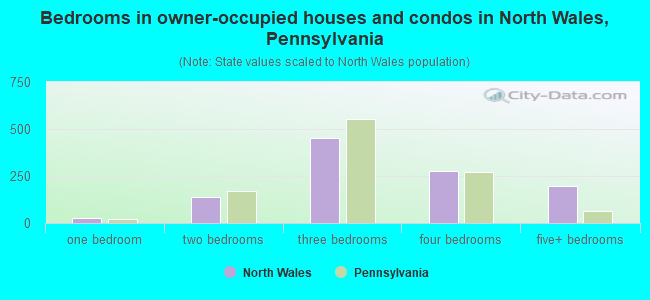 Bedrooms in owner-occupied houses and condos in North Wales, Pennsylvania