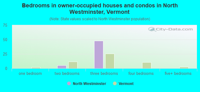 Bedrooms in owner-occupied houses and condos in North Westminster, Vermont