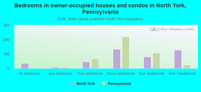Bedrooms in owner-occupied houses and condos in North York, Pennsylvania