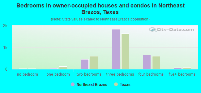 Bedrooms in owner-occupied houses and condos in Northeast Brazos, Texas