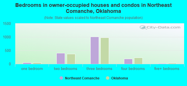 Bedrooms in owner-occupied houses and condos in Northeast Comanche, Oklahoma