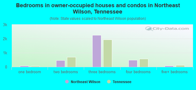 Bedrooms in owner-occupied houses and condos in Northeast Wilson, Tennessee