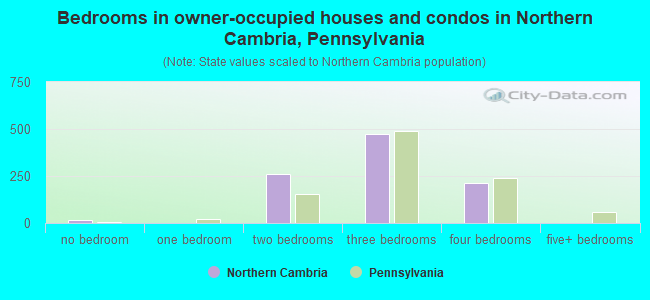 Bedrooms in owner-occupied houses and condos in Northern Cambria, Pennsylvania