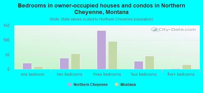 Bedrooms in owner-occupied houses and condos in Northern Cheyenne, Montana