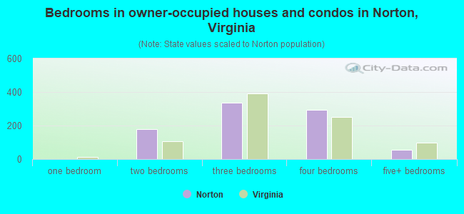 Bedrooms in owner-occupied houses and condos in Norton, Virginia