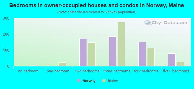 Bedrooms in owner-occupied houses and condos in Norway, Maine