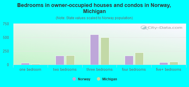 Bedrooms in owner-occupied houses and condos in Norway, Michigan