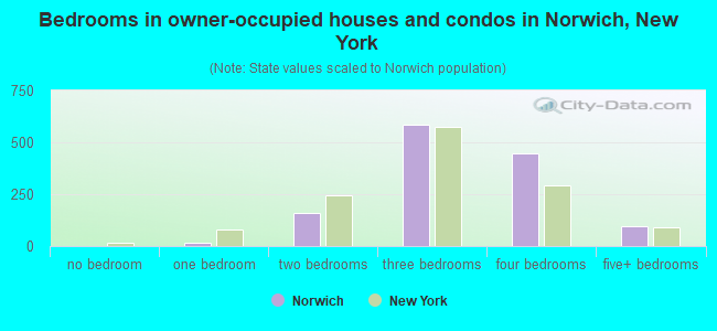 Bedrooms in owner-occupied houses and condos in Norwich, New York