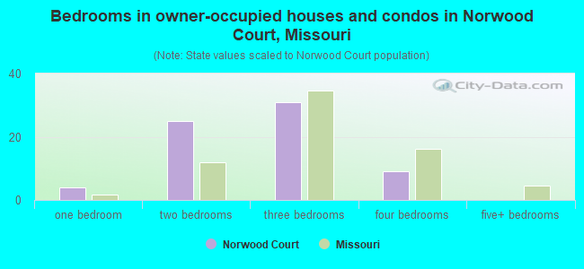 Bedrooms in owner-occupied houses and condos in Norwood Court, Missouri