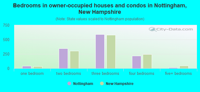 Bedrooms in owner-occupied houses and condos in Nottingham, New Hampshire