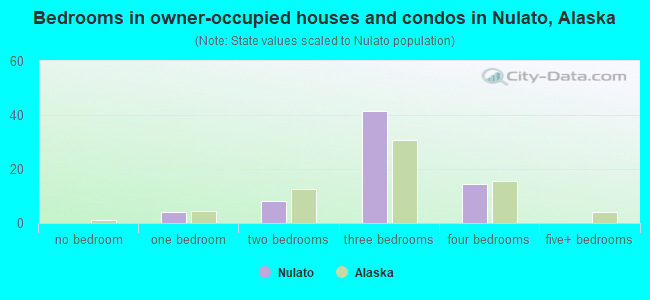 Bedrooms in owner-occupied houses and condos in Nulato, Alaska