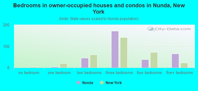 Bedrooms in owner-occupied houses and condos in Nunda, New York