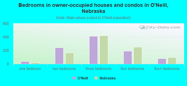 Bedrooms in owner-occupied houses and condos in O'Neill, Nebraska