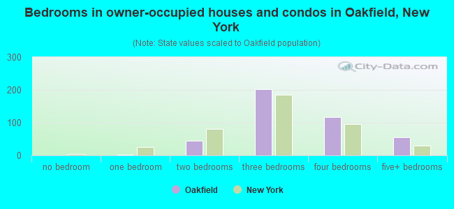 Bedrooms in owner-occupied houses and condos in Oakfield, New York