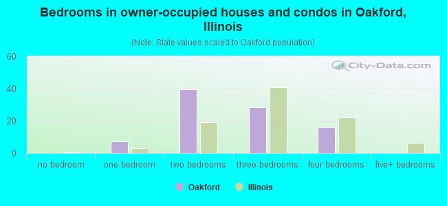 Bedrooms in owner-occupied houses and condos in Oakford, Illinois
