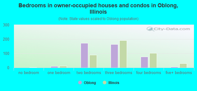 Bedrooms in owner-occupied houses and condos in Oblong, Illinois