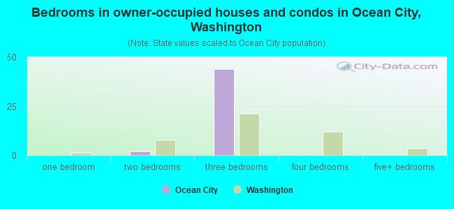 Bedrooms in owner-occupied houses and condos in Ocean City, Washington