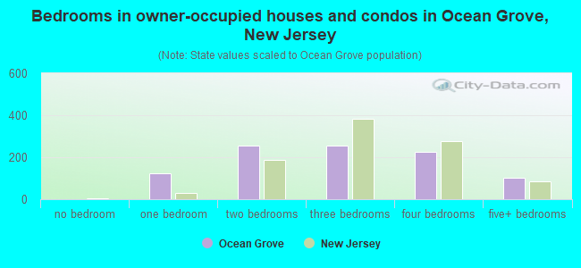 Bedrooms in owner-occupied houses and condos in Ocean Grove, New Jersey
